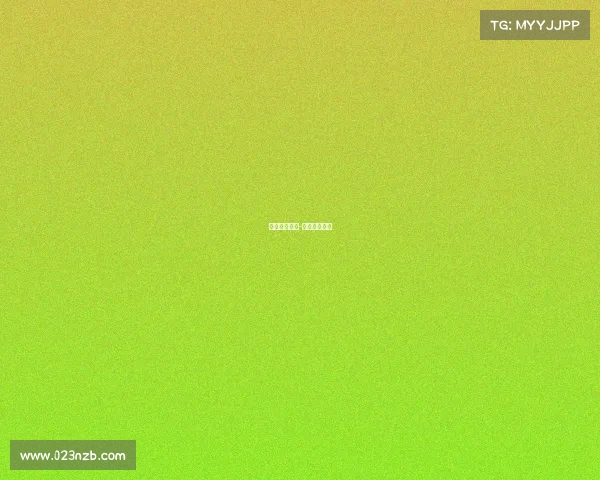 赛事分析篮球-篮球赛事数据